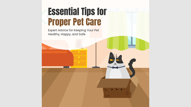 Essential Tips for Proper Pet Care